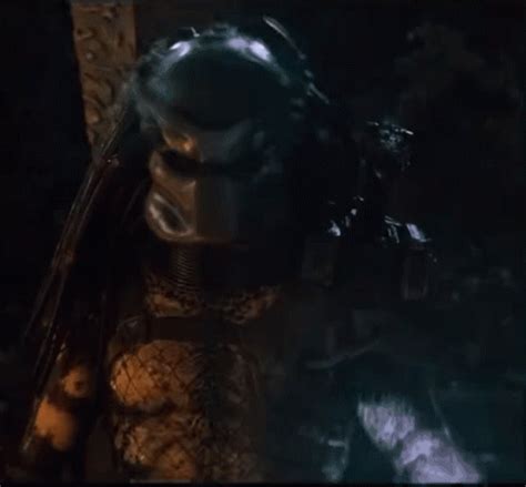 predator gif|predator high five gif.